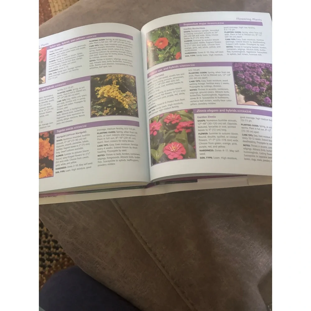 Birds in Your Backyard Guide Robert J Dolezal Reader's Digest Hardcover 2005